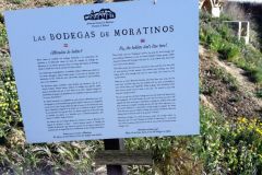 7.-Bodegas-Moratinos-2