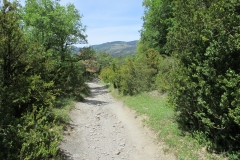 11. Descent Alto de Erro to Zubiri (1)