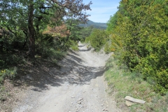 11. Descent Alto de Erro to Zubiri (2)