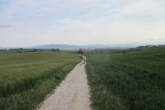 6. Looking back to Pamplona