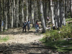 20. Descent to Roncevalles (7)