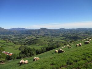 4.Climb to Orisson (15)