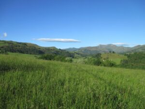 4.Climb to Orisson (3)